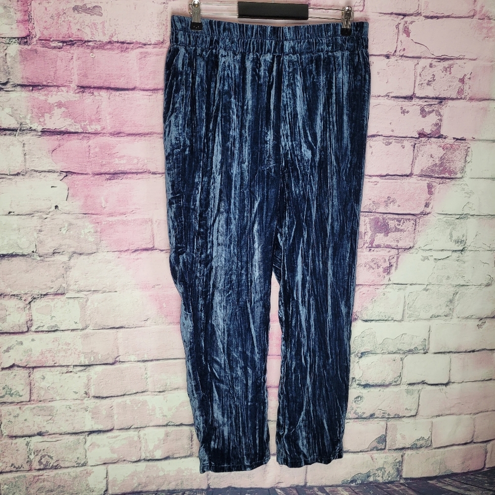TINA JO ANTHROPOLOGIE BLUE VELVET PULL ON PANTS MEDIUM NWT